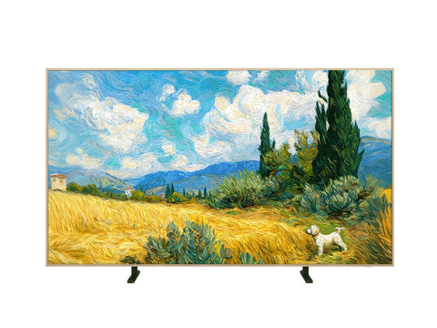 TCL 55A400 Pro de 55 pulgadas, vista frontal con acabado tipo marco