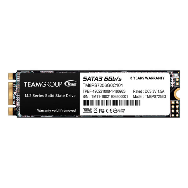 UNIDAD EN ESTADO SOLIDO TG MS30 M.2 2280 256GB SATA III 6GB/S