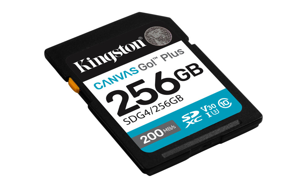 memorias-externa-kingston-sdg4-256gb_2