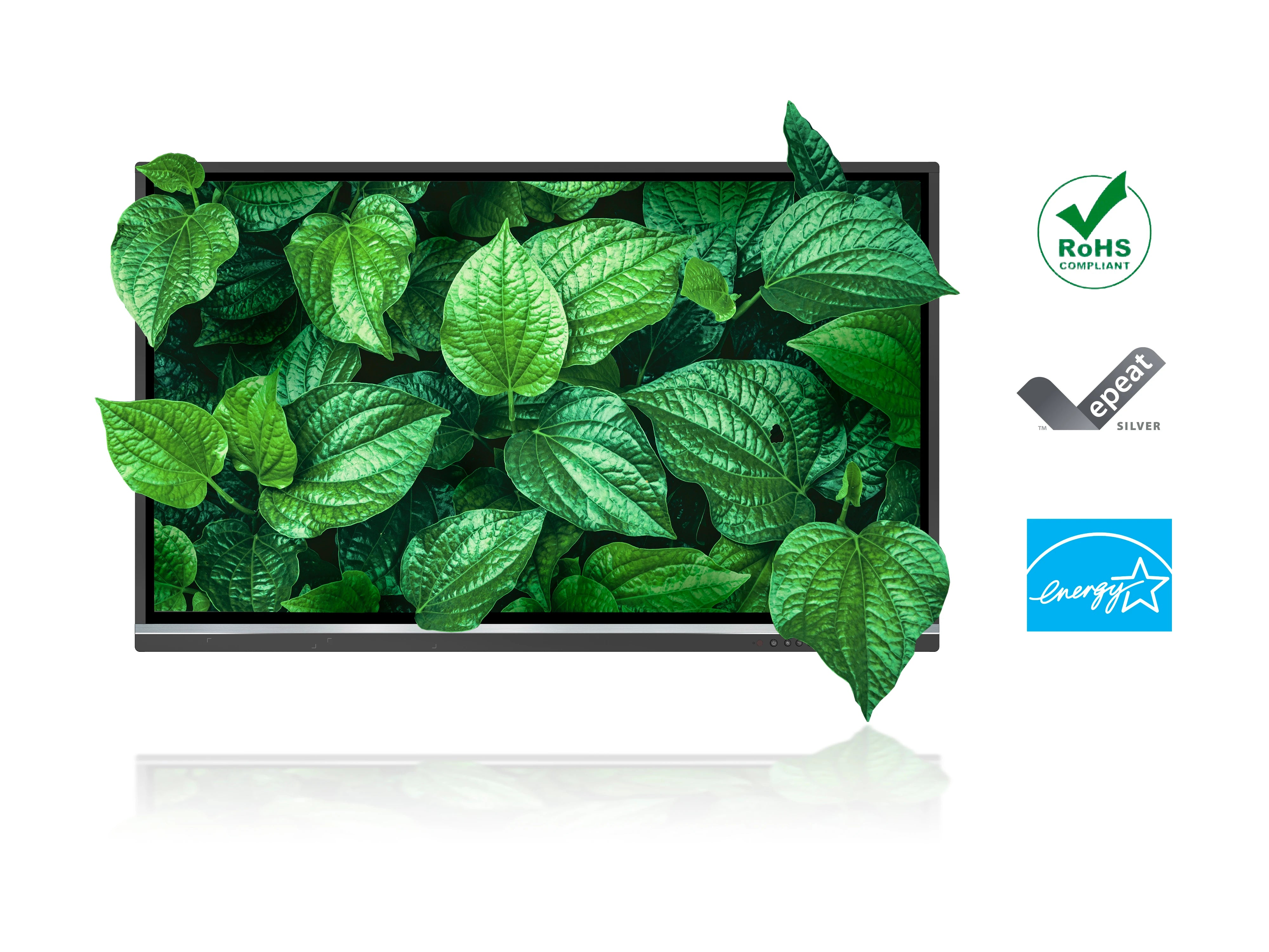 Pantalla Interactiva ViewSonic IFP7550-5F  75" 4K UHD  Android 13  Táctil 40 Puntos  Wi-Fi 6  USB-C + HDMI  Altavoces  Montaje VESA 800x400