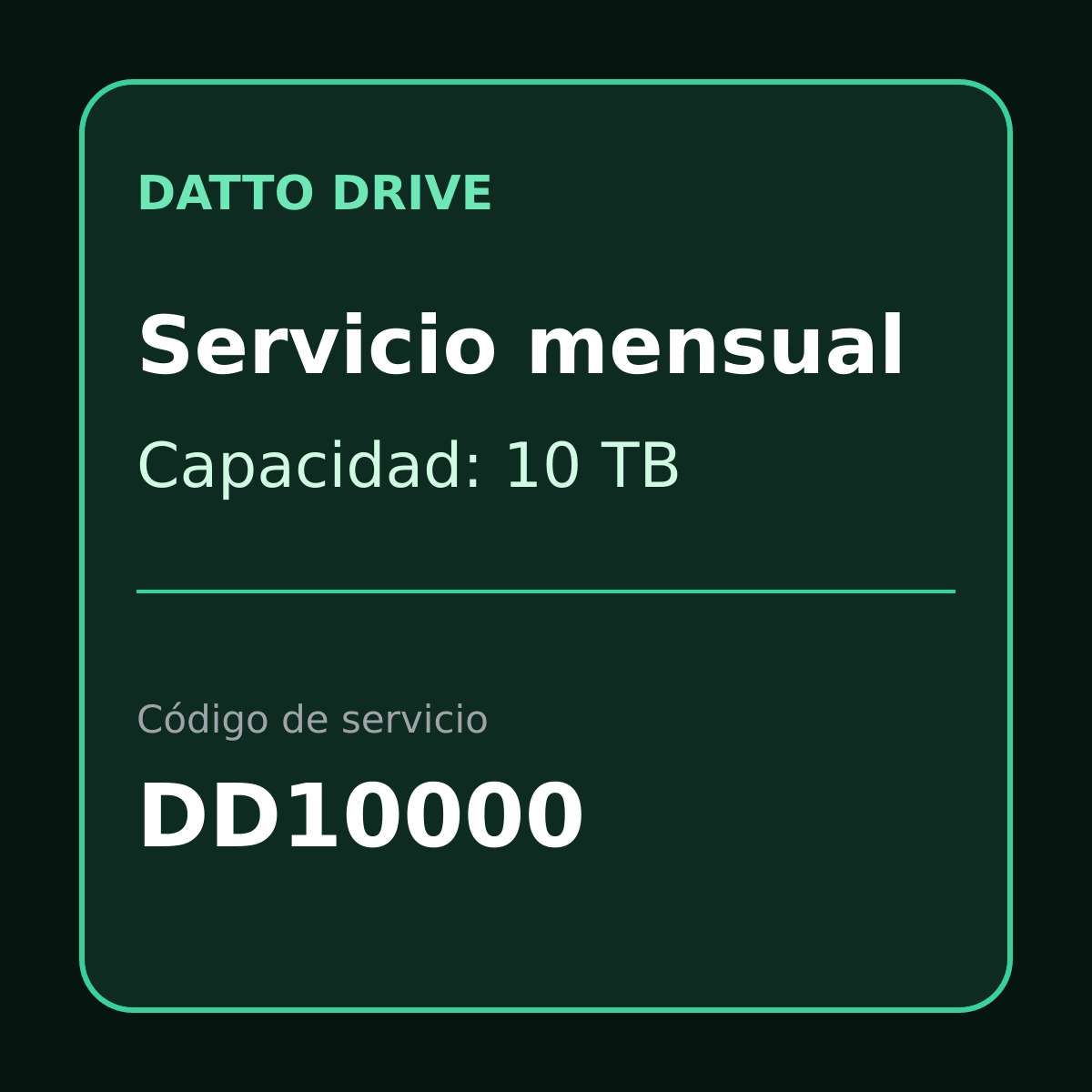 Tarjeta de servicio mensual Datto Drive 10TB DD10000