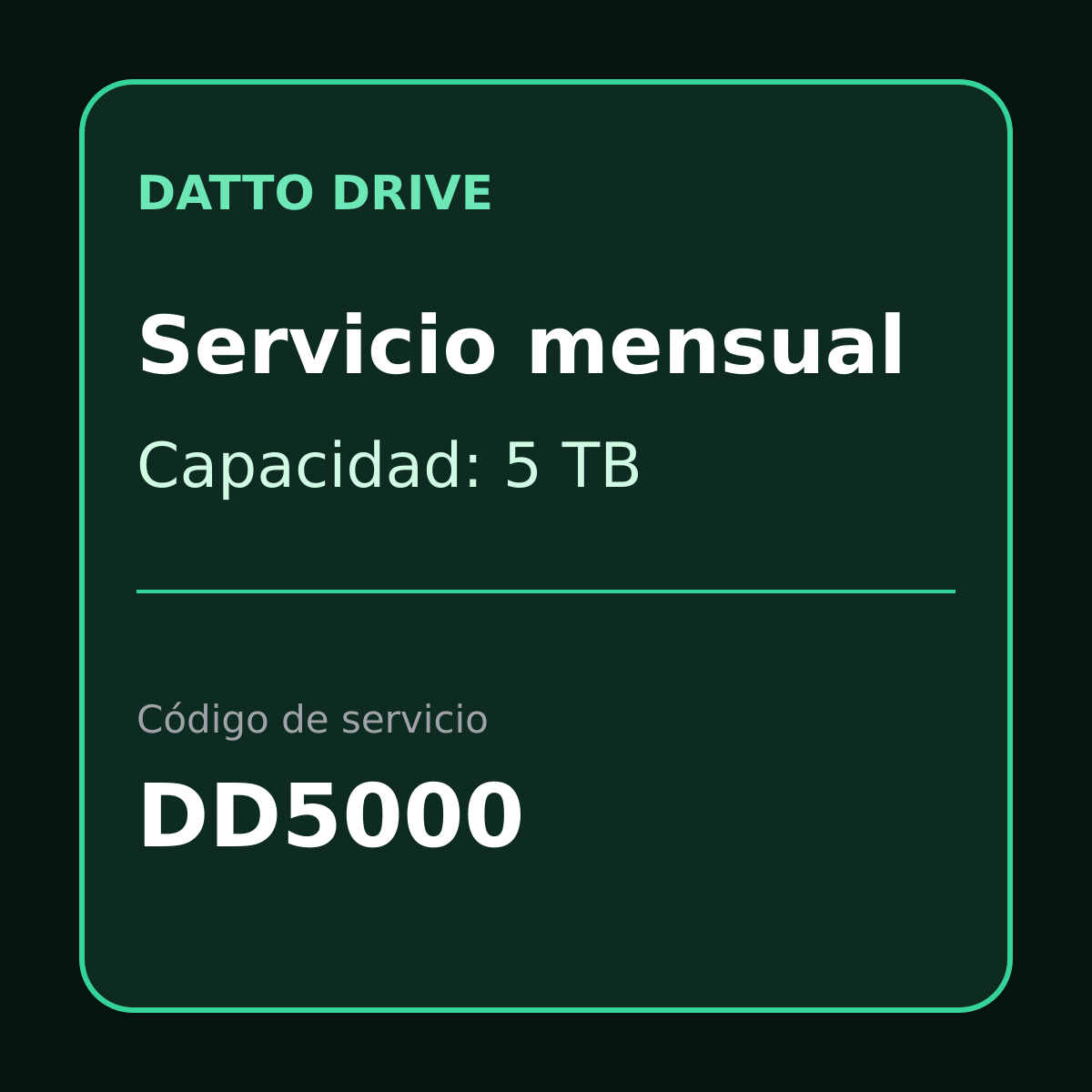 Tarjeta de servicio mensual Datto Drive 5TB DD5000