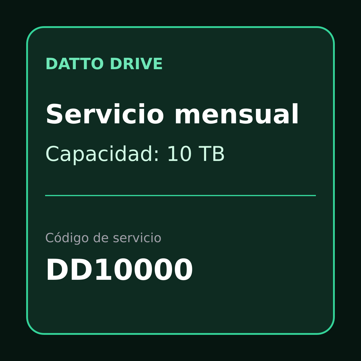 Tarjeta de servicio mensual Datto Drive 10TB DD10000