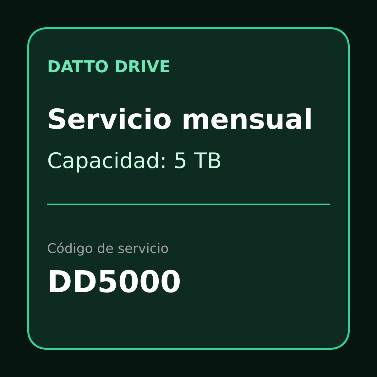 Tarjeta de servicio mensual Datto Drive 5TB DD5000