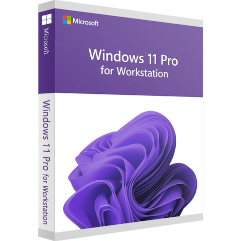 ms-windows-microsoft-wws11-pro-5_1
