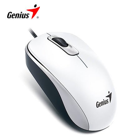 MOUSE GENIUS DX - 110 USB OPTICO WHITE 31010116102 - SMART BUSINESS