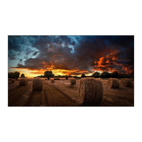 digital-signage-samsung-lh55vmbubgbxza_1