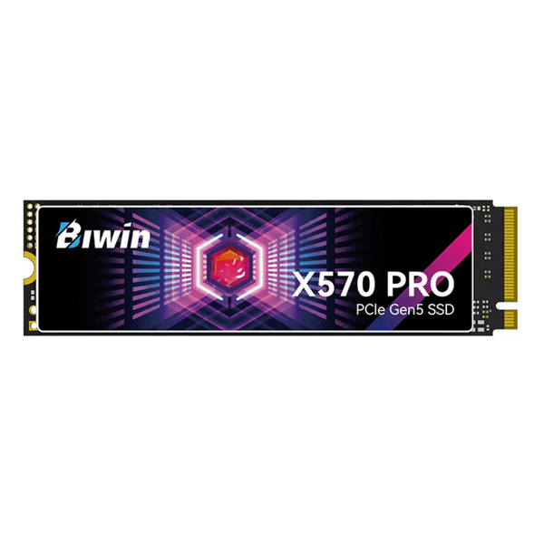 SSD BW X570 PRO 1TB NMVE GEN5 BX570DN01TB-RGX - SMART BUSINESS