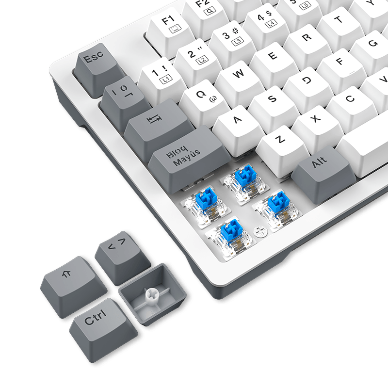 TECLADO ANTRYX MECANICO TKL MK840L WHITE & GRAY | SWITCH BLUE (AMK - CS840LWGBL - SP) AMK-CS840LWGBL-SP - SMART BUSINESS