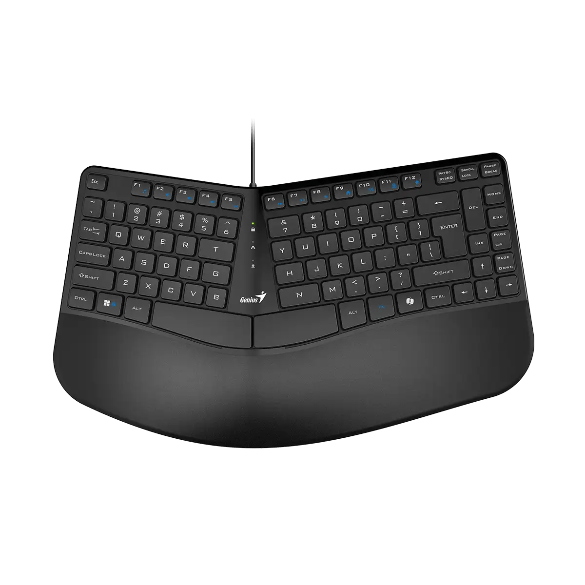 TECLADO GENIUS ERGO KB - 700 C/TECLA COPILOT USB SP BLACK (31310053401) 31310053401 - SMART BUSINESS