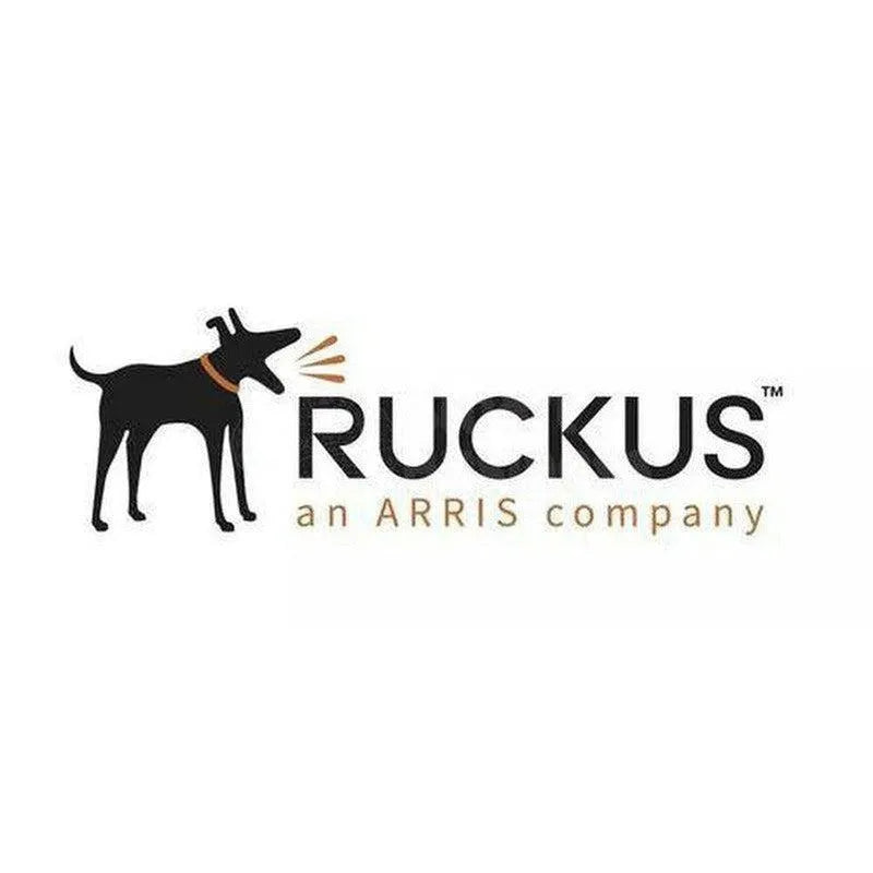 Asistencia Premium De Ruckus Wireless Partner Watchdog, 3 Años, Para Smartzone 100. - SMART BUSINESS